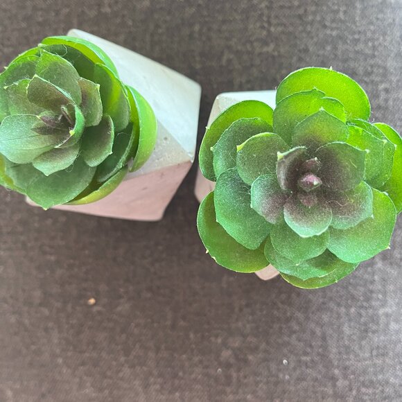 Fake succlulents - Picture 1 of 1